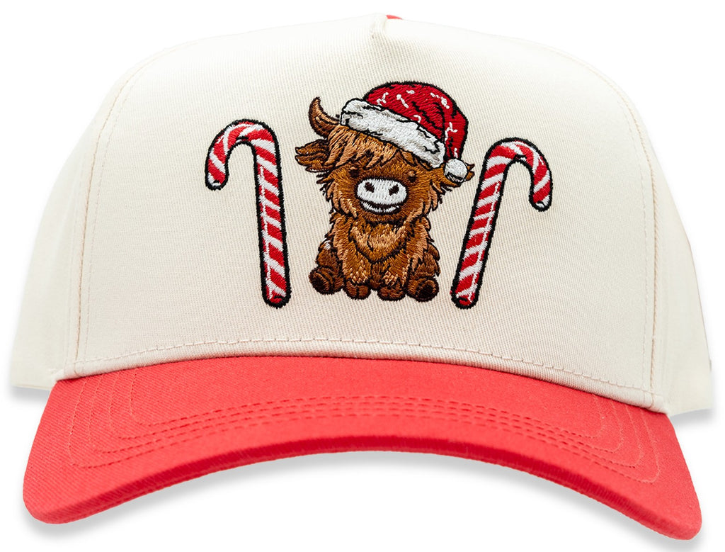 Womens Fashion Holiday Hat - F26 - Simply Southern