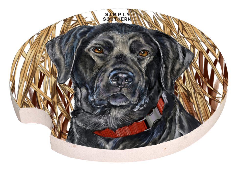 Car Coaster - Guys - F22 - Simply Southern