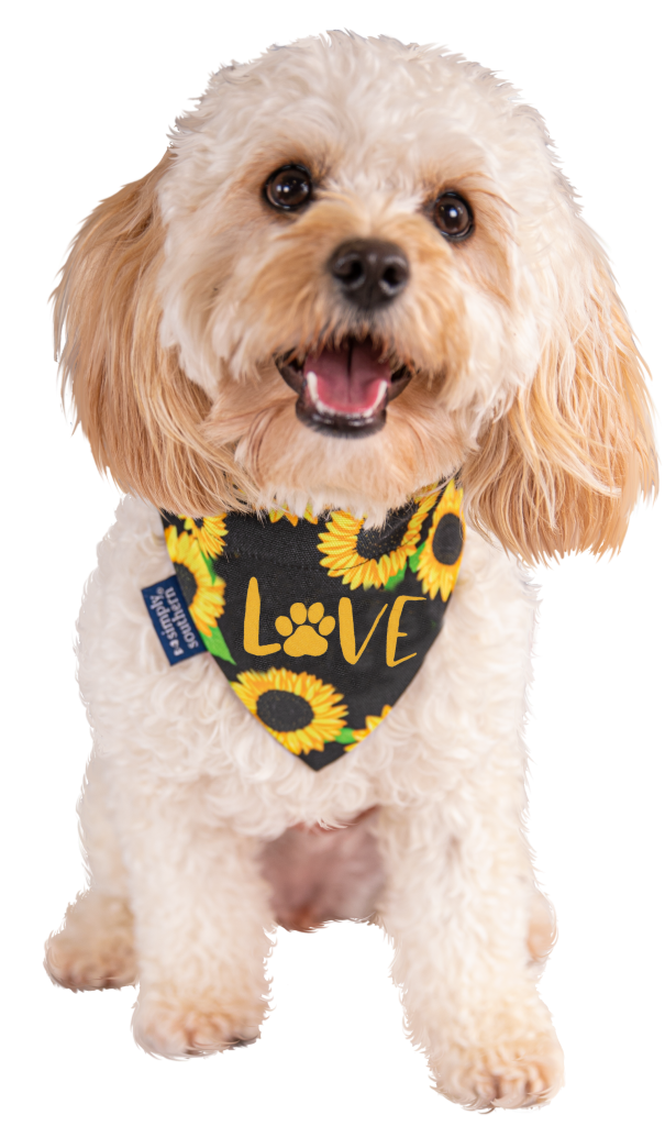 Dog Bandana - Love - Sunflower - F20 - Simply Southern