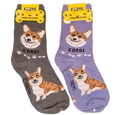 Graphic Adult Socks - Foozy - Corgi