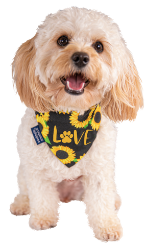 Dog Bandana - Love - Sunflower - F20 - Simply Southern